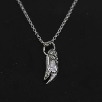 Greenaway Crab Claw Necklace in Silver. Handmade in Cornwall, by Chloe Michell.